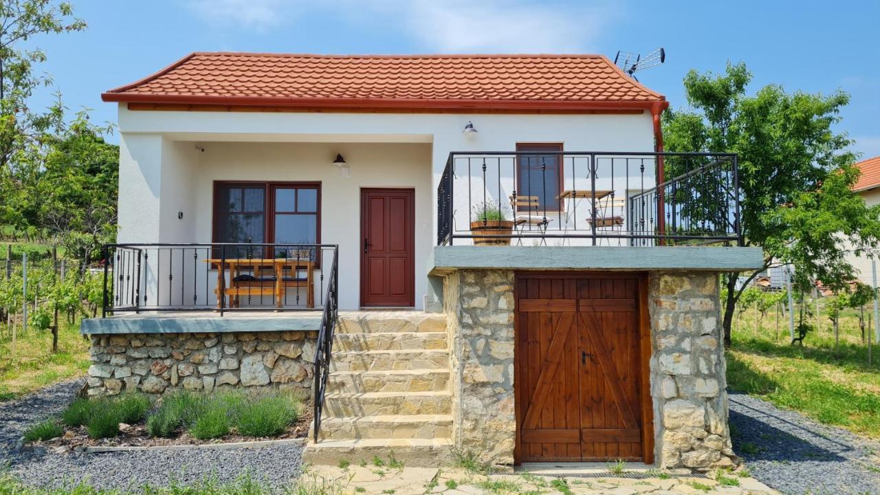 Jera Pince Es Vendeghaz Villa Somlovasarhely Exterior photo